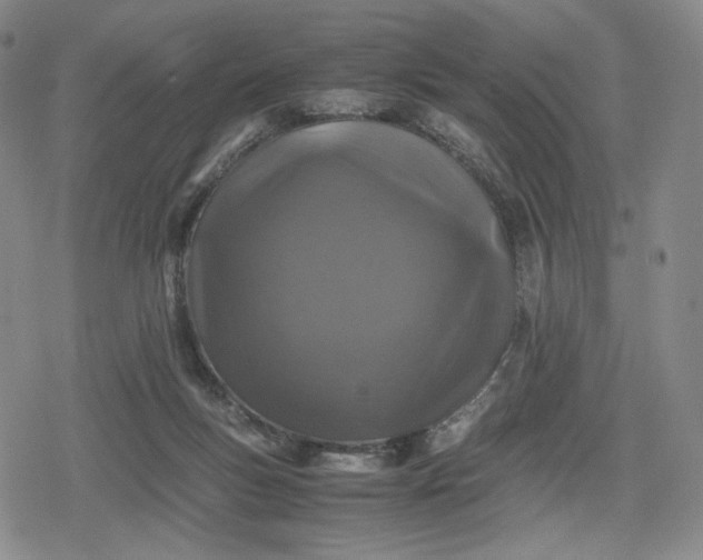 X0000080190167200612221349