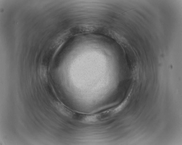 X0000080190178200612221350