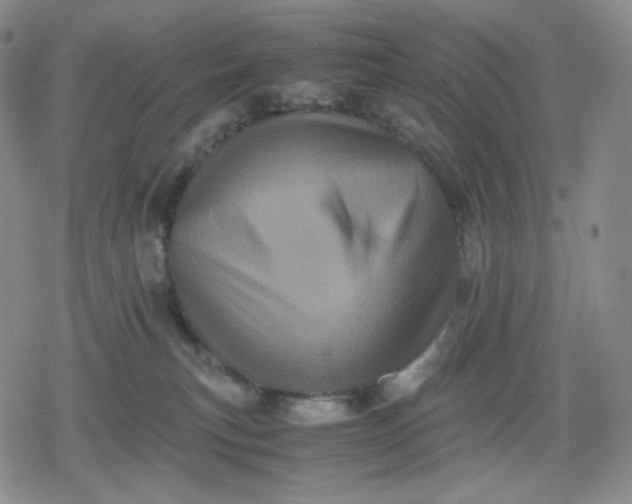 X0000080190183200612221350