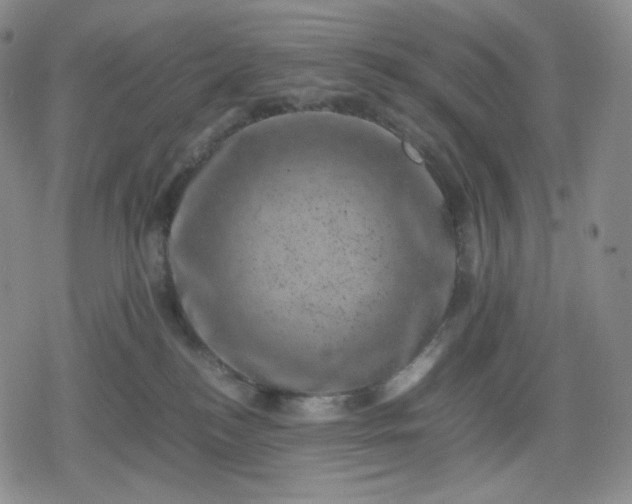 X0000080190184200612221350