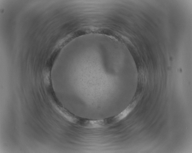 X0000080190188200612221350
