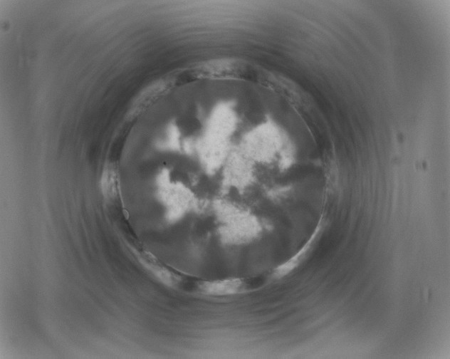 X0000080190191200612221350