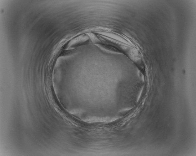 X0000080190193200612221349