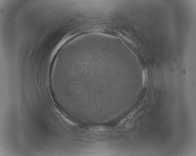 X0000080190195200612221349