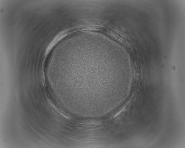 X0000080190198200612221349
