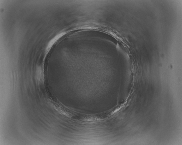 X0000080190200200612221349