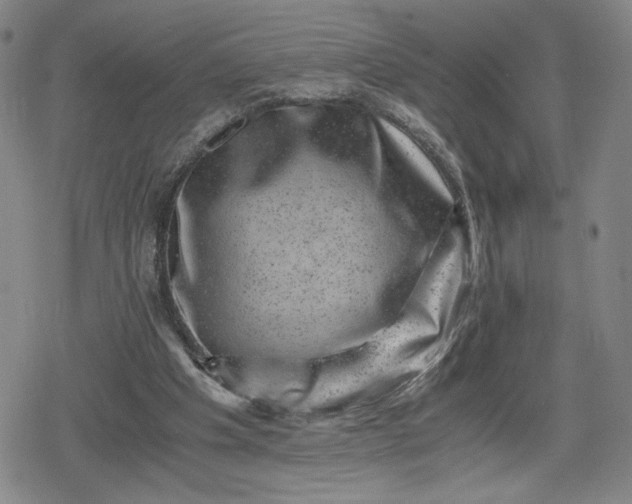 X0000080190201200612221349