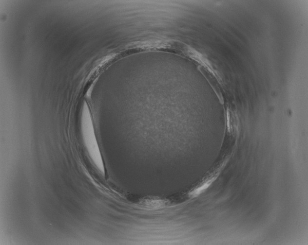 X0000080190205200612221349