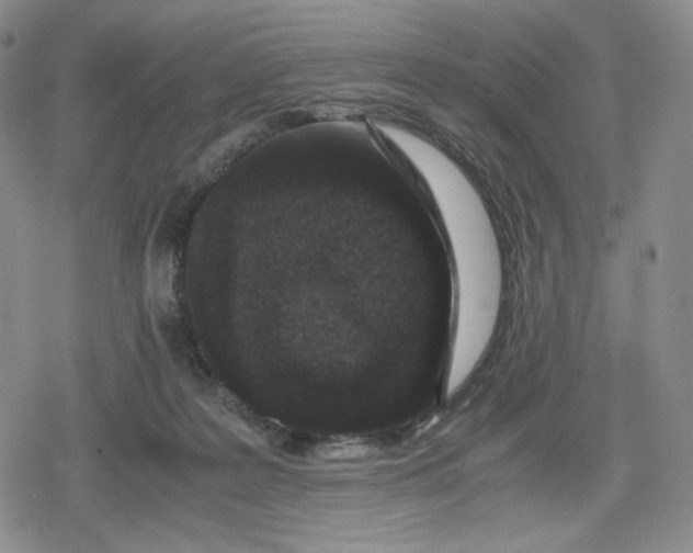 X0000080190219200612221349