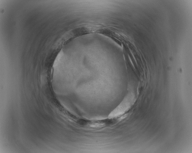 X0000080190221200612221349