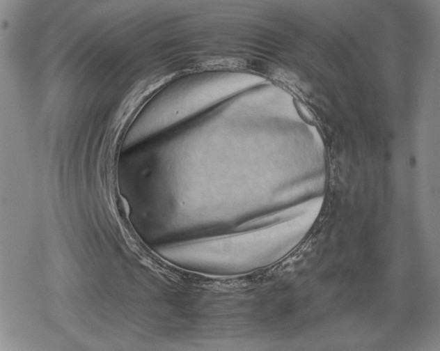X0000080190241200612221347