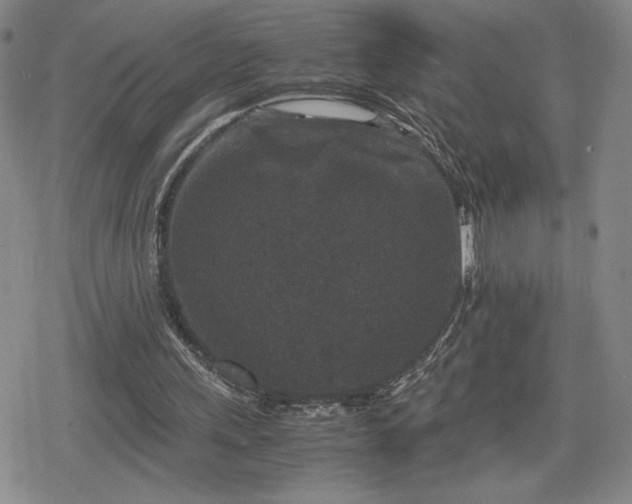 X0000080190243200612221347