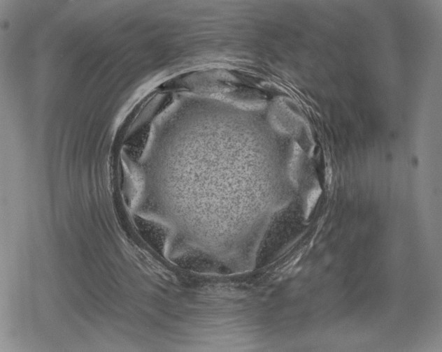 X0000080190244200612221347