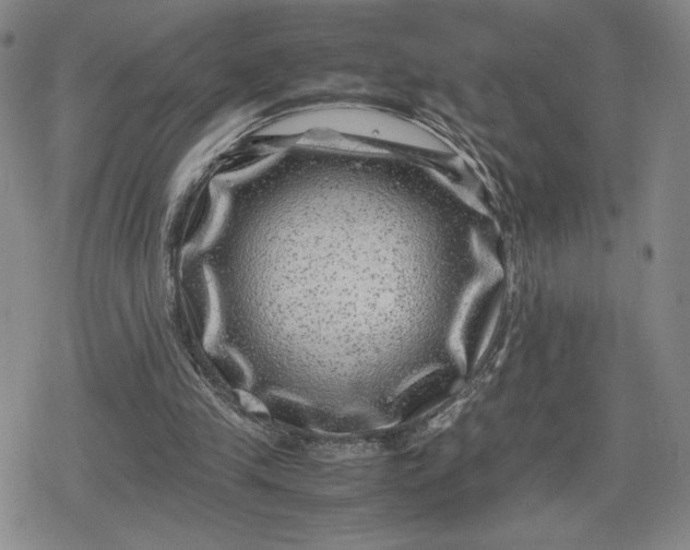 X0000080190245200612221348
