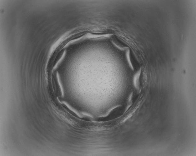 X0000080190246200612221348