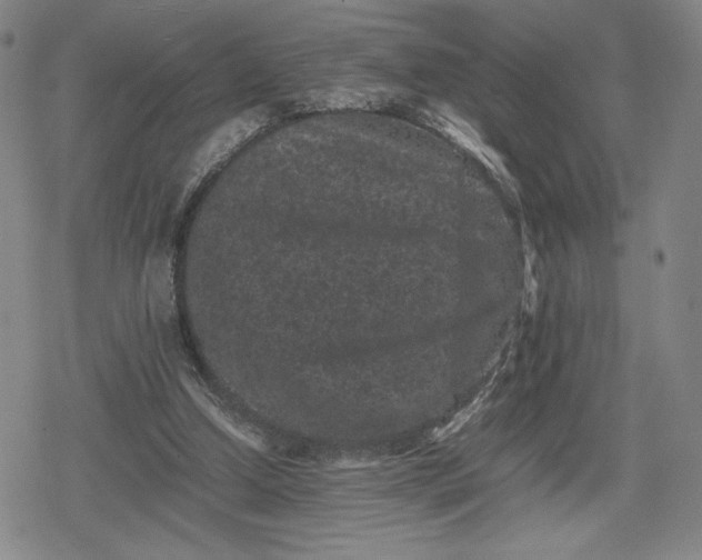 X0000080190250200612221348