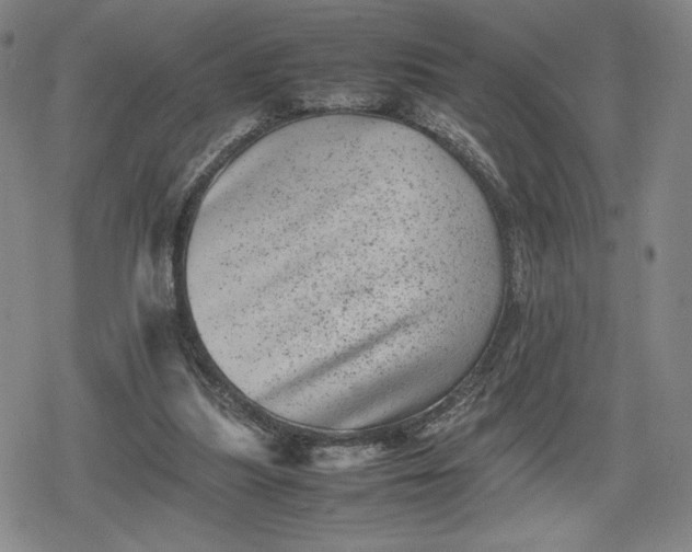 X0000080190251200612221348