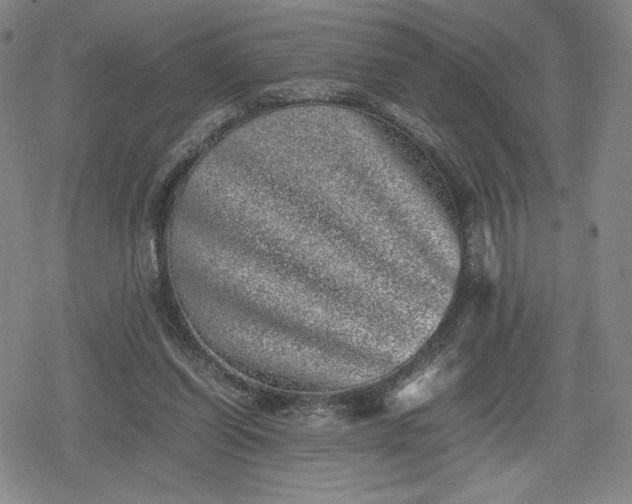 X0000080190254200612221348