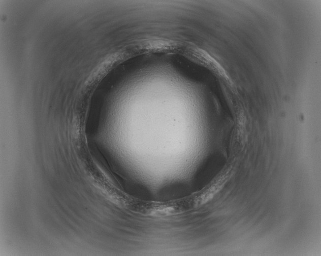 X0000080190257200612221348