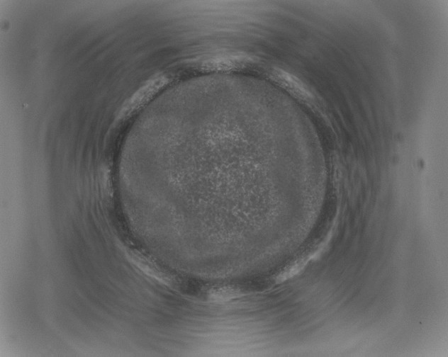 X0000080190258200612221348