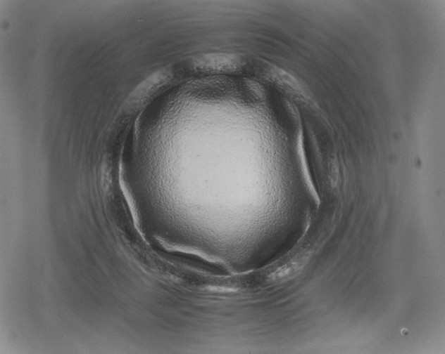 X0000080190259200612221348