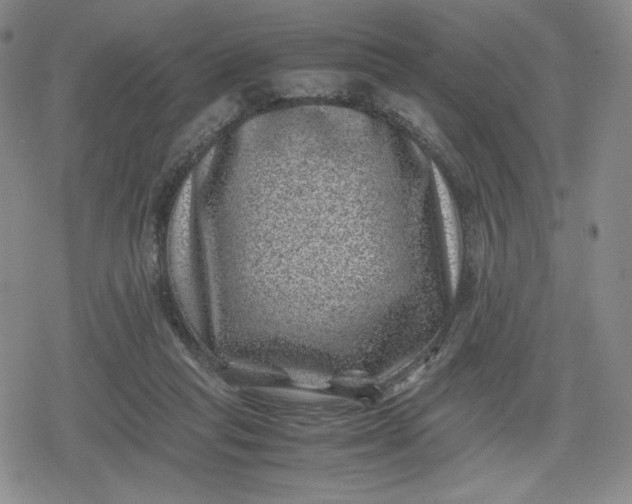 X0000080190261200612221348