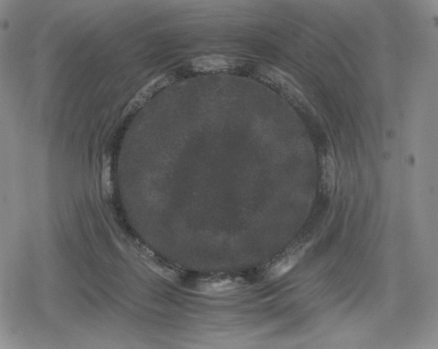 X0000080190267200612221348