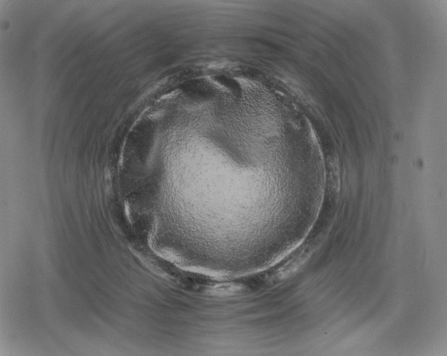X0000080190269200612221348
