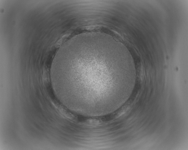 X0000080190272200612221348