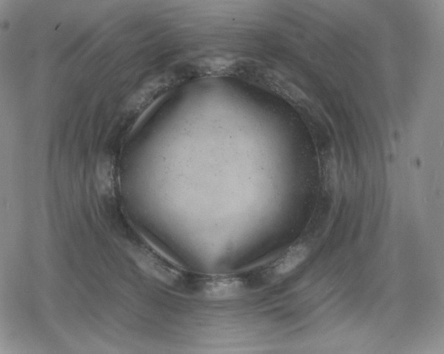X0000080190274200612221348