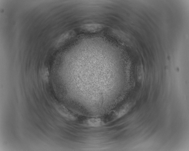 X0000080190279200612221348