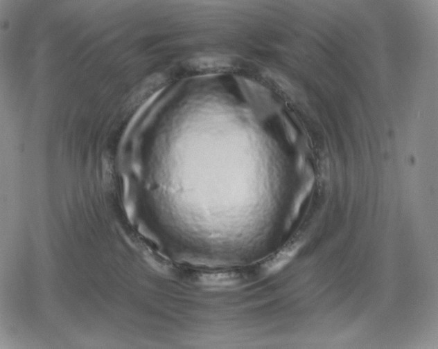 X0000080190281200612221348