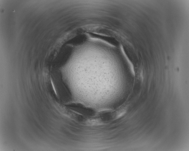 X0000080190283200612221348