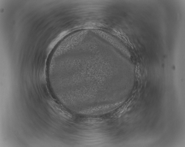 X0000080190292200612221347