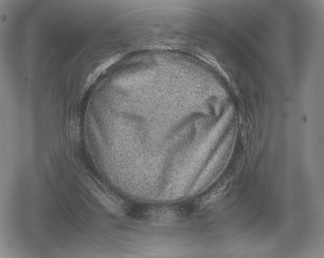 X0000080190299200612221347