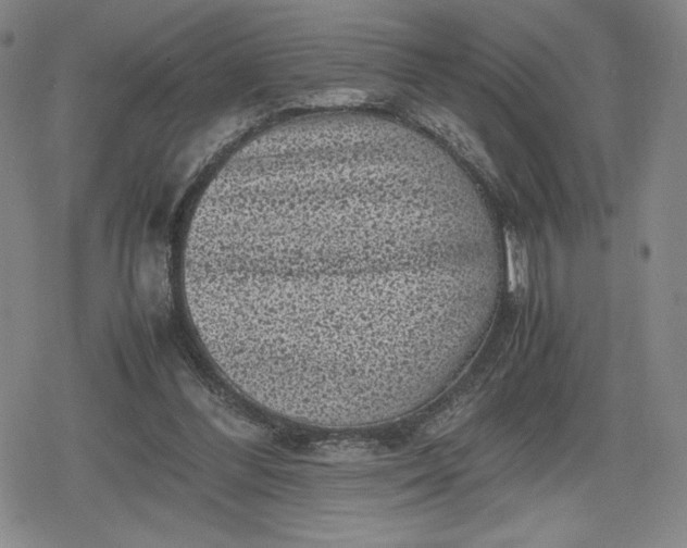 X0000080190300200612221347