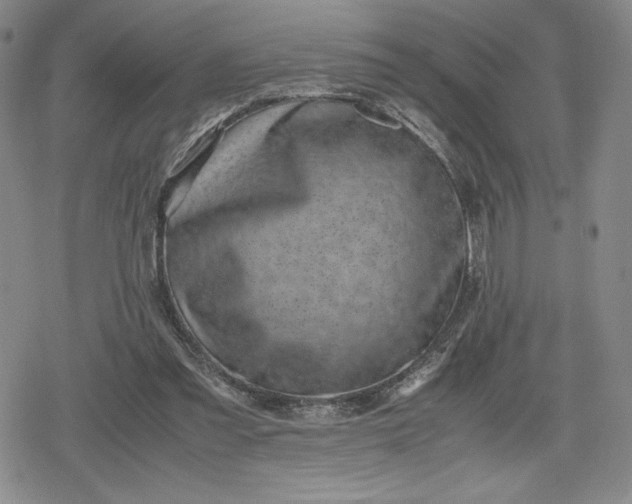 X0000080190301200612221347
