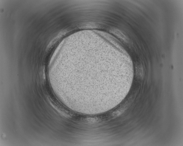 X0000080190302200612221347