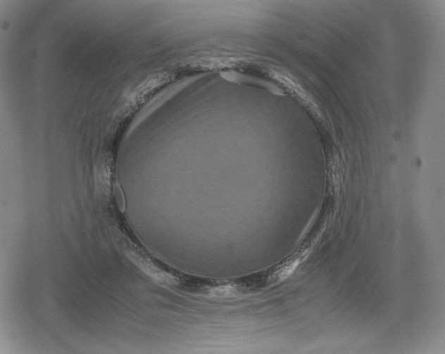 X0000080190309200612221347