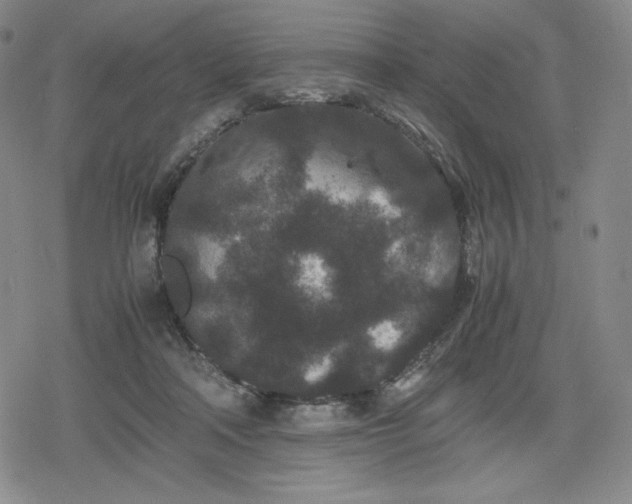 X0000080190314200612221347