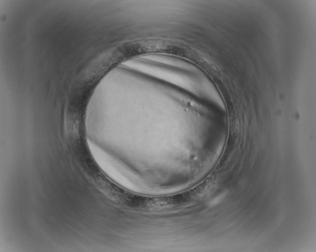 X0000080190315200612221347