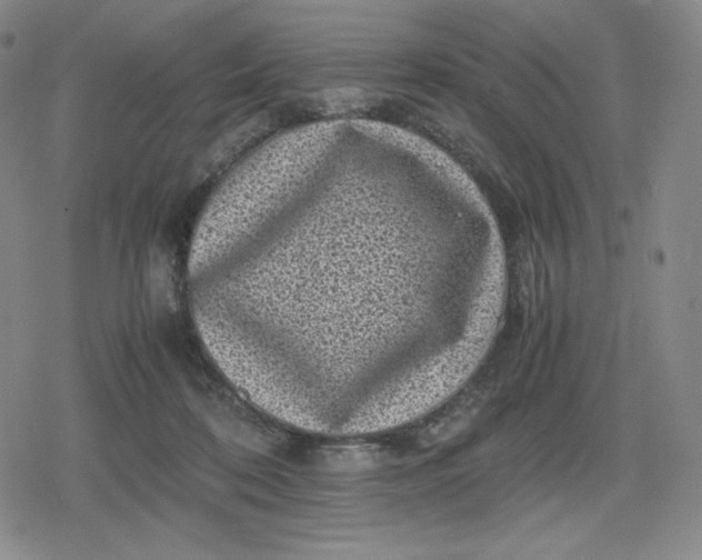 X0000080190316200612221347