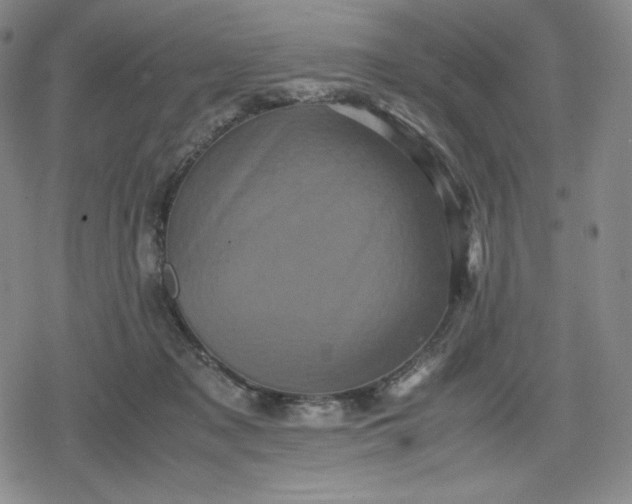 X0000080190317200612221347