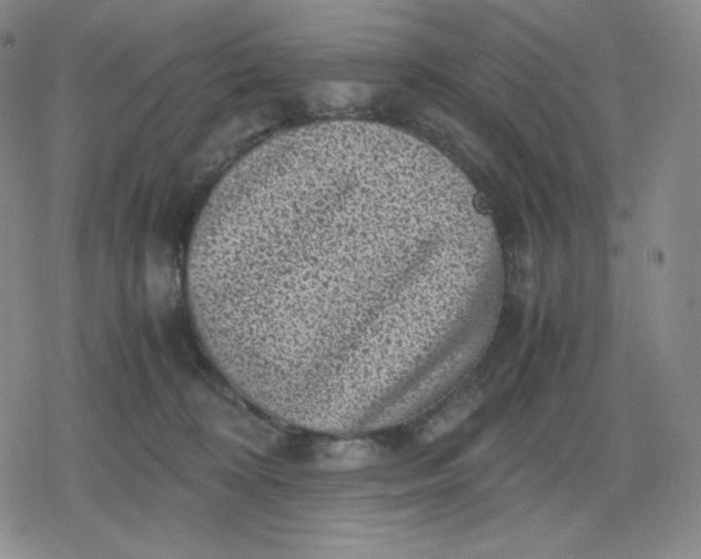 X0000080190324200612221347