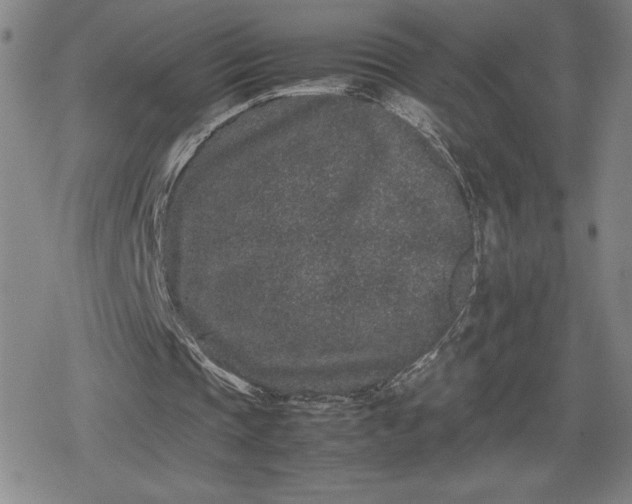 X0000080190337200612221346