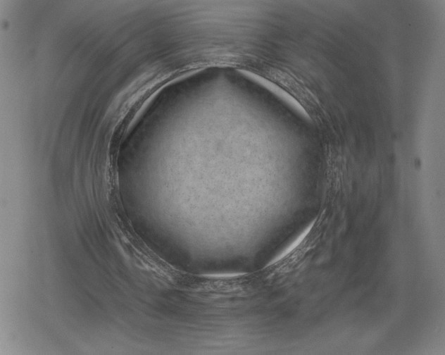 X0000080190338200612221346