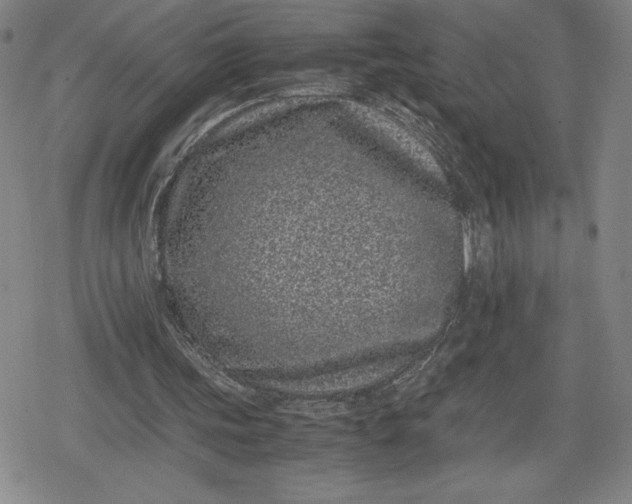 X0000080190339200612221346