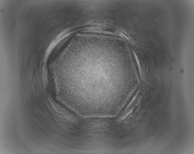 X0000080190343200612221346