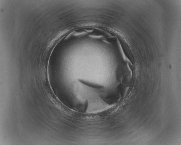 X0000080190345200612221346