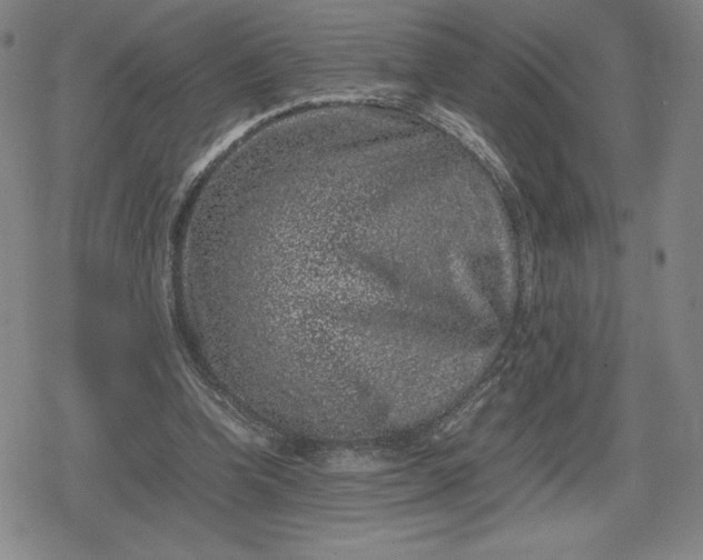 X0000080190346200612221346